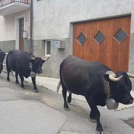 Maison Du Village 旅馆